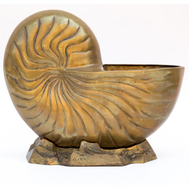 Vintage Solid Brass Nautilus Shell Planter Chairish