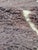 Contemporary Berber Taupe Rug - 9.1 X 8.4 Ft For Sale In Cleveland - Image 6 of 6
