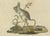 Antique Handcolored Engraving of Kangaroo, Jerboas, and Bilby, 1800s, Print For Sale - Image 6 of 8