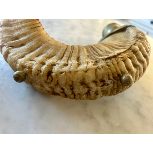 Sand Vintage Ram Horn Candle Holders Pair For Sale - Image 8 of 14