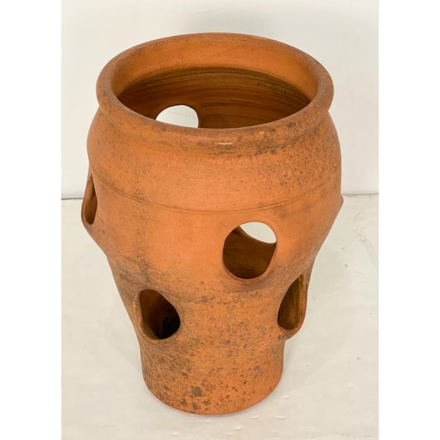 A classic vintage English strawberry planter pot of terracotta - a specialized jar designed with multiple side openings or...