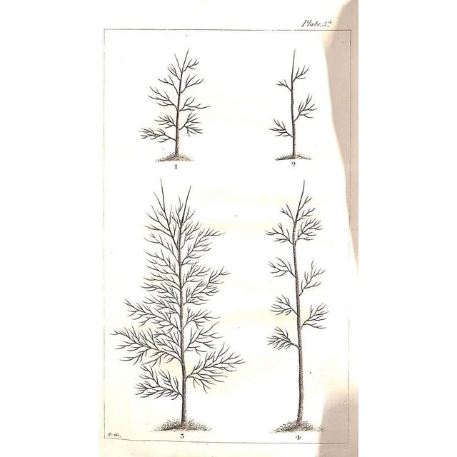 PONTEY, William [277] pp. w/ 8 plates J. Harding 1808 The Second Edition 8 1/2" x 5 1/2" Pontey was from a prominent...