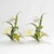 Off-white Vintage Italian Tole Metal Candlestick Holders With Hand-Painted Flowers For Sale - Image 8 of 15