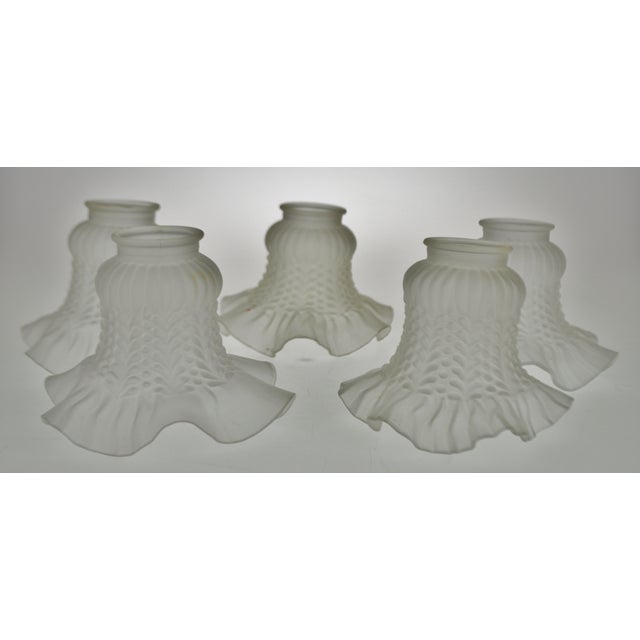 Vintage Victorian Style Ruffled Tulip Glass Lamp Shades Group of 5