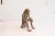African Vintage African Sitting Monkey Figurine For Sale - Image 3 of 7