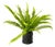 Fern Plant with Mossy Base 24"H For Sale