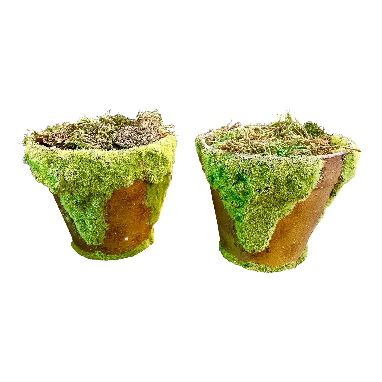 Decorative Terracotta Planters, Pair Chairish
