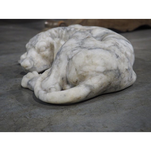 Italian Volterra Alabaster Sleeping Hound Sculpture – Bardiglio Grey, 20th C. For Sale - Image 11 of 14