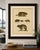 Alpine Marmot, Hamster, Lemming & Rock Hyrax, Brodtmann Lithograph, 1816 This original hand-colored lithograph presents a...