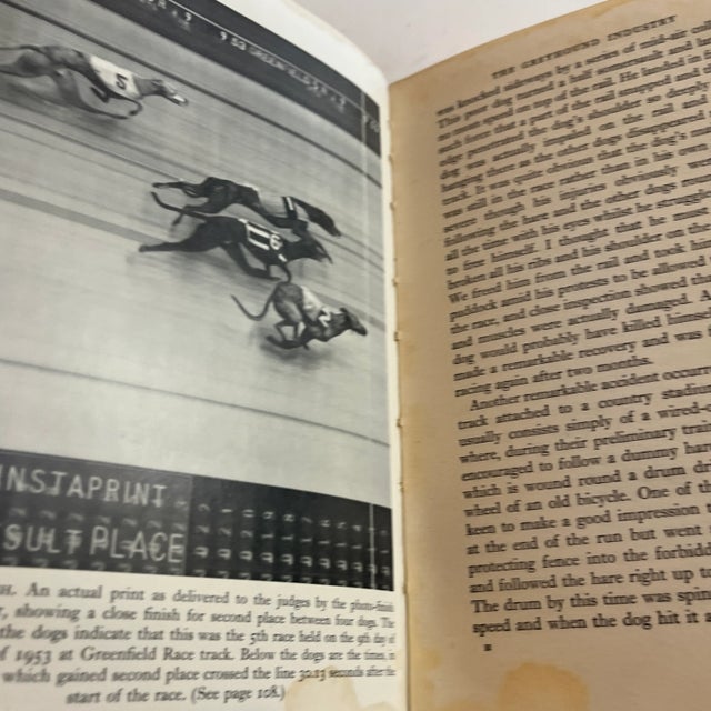 1955 Dogs, Cats and People Book For Sale In New York - Image 6 of 8