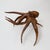 Wood 1990s Monumental Hand-Carved Balinese Suar Wood Octopus Sculpture For Sale - Image 7 of 17