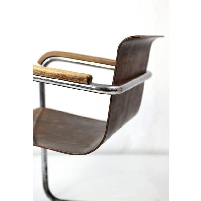 Brown Czech Cantilever Armchair, 1930s For Sale - Image 8 of 9