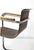 Brown Czech Cantilever Armchair, 1930s For Sale - Image 8 of 9