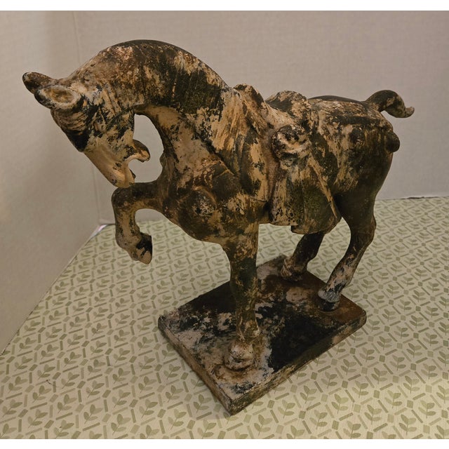 Bronze Antique Ming Heavy Iron War Horse. For Sale - Image 8 of 9