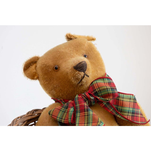 Antique American Teddy Bears with Ribbons Sitting in Wicker Chairs, Priced Each For Sale - Image 10 of 15