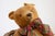 Antique American Teddy Bears with Ribbons Sitting in Wicker Chairs, Priced Each For Sale - Image 10 of 15