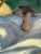 Impressionist Antique 1920s Impressionistic Oil on Canvas Beach Scene For Sale - Image 3 of 12