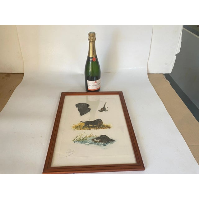 This is an engraving, in colors. with a Beautiful frame in wood. Representing an Scene of Hunting with Animals.