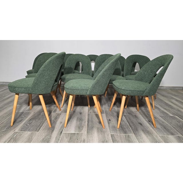 Vintage Dining Chairs by Antonin Suman, 1960s, Set of 12 For Sale - Image 4 of 10
