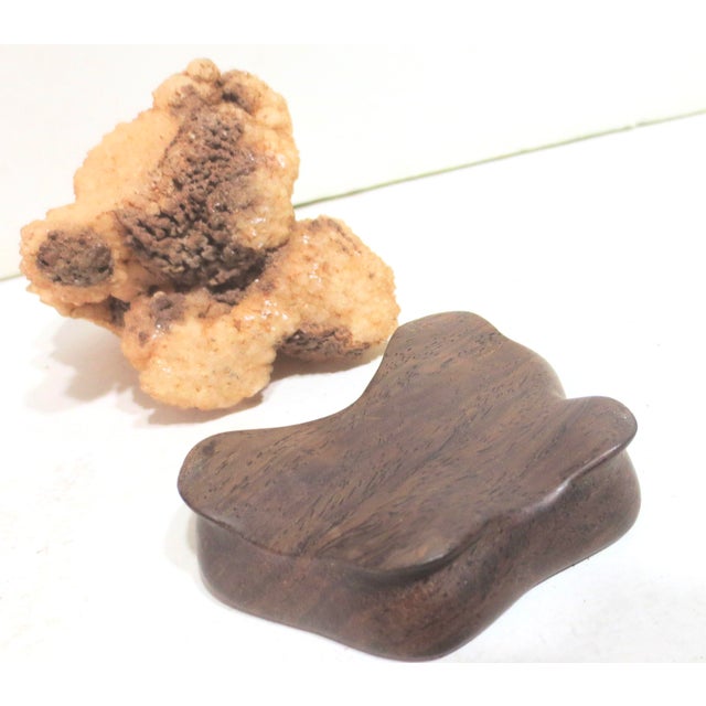 Gobi Agate Specimen on Wooden Stand For Sale In New York - Image 6 of 6