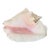 Antique Coastal Conch Sea Shell For Sale