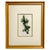 Trio of 19th Century Framed Louis Van Houtte Botanical Chromolithographs For Sale - Image 4 of 8