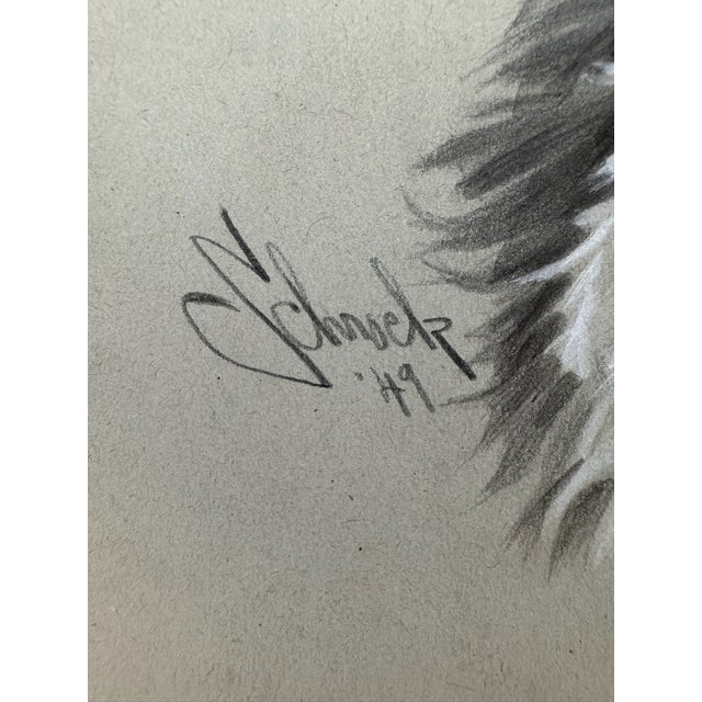 1940s 1940s Original Signed Graphite Illustration of English Springer Spaniel, 11 × 8.5 In. For Sale - Image 5 of 6