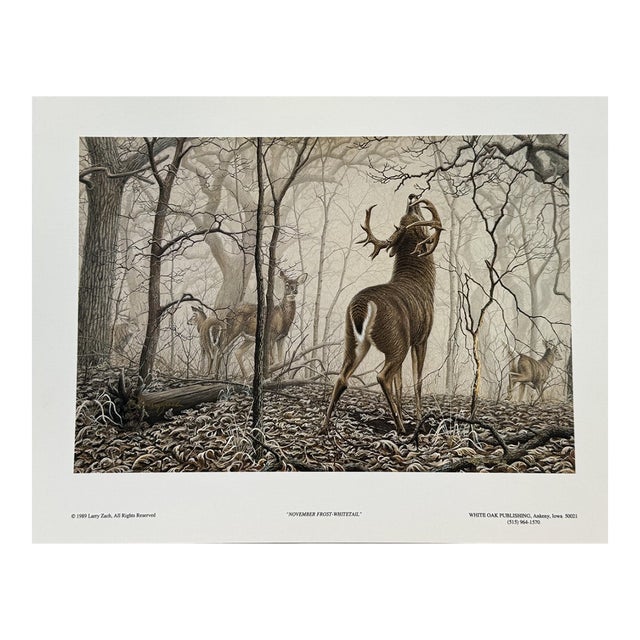 1980s November Frost - Whitetail Deer Larry Zach Deer on Frosty Morning Signed Print For Sale
