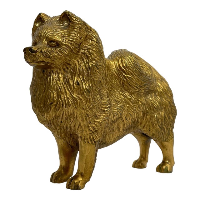 Small Traditional Early 20th Century English Gilt Bronze Spitz Dog Car Mascot Figurine For Sale