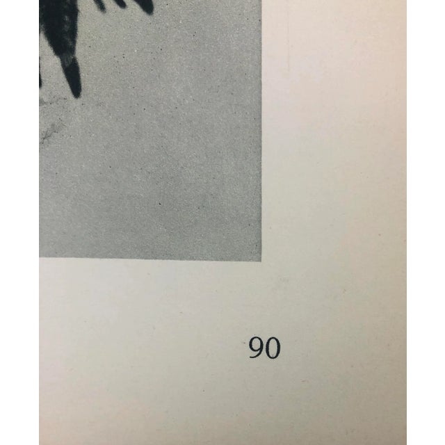 Framed Antique Photogravure Blossfeldt Botanical Print - No. 90 For Sale - Image 4 of 5