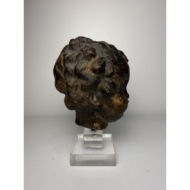 Tuscan Artist, Sculpture Depicting a Cherub's Head, 1500, Terracotta For Sale - Image 4 of 17
