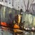 20th Century European School Oil on Canvas Boats in the Harbor Framed Signed For Sale - Image 10 of 12