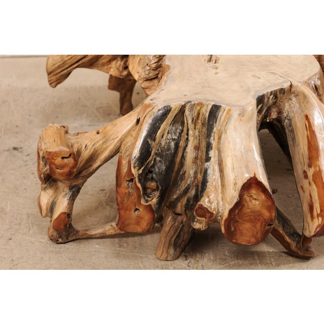 Rustic Tropical Teak Root Hardwood Coffee Table For Sale - Image 3 of 12