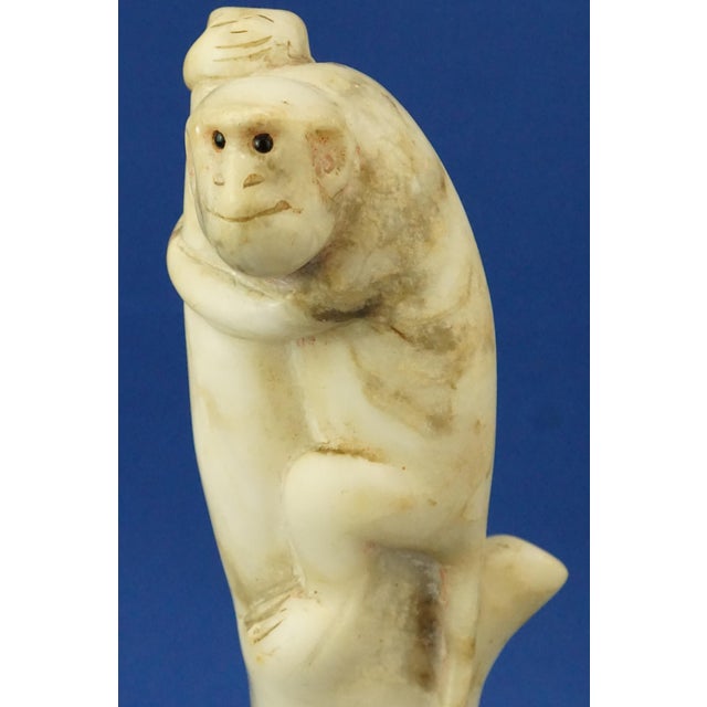 Qing Dynasty Qianlong Marble Monkey Sculpture with Jasper Eyes, China, Late 1800s For Sale - Image 14 of 18
