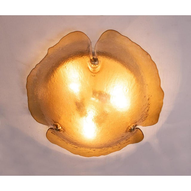 Organic jellyfish shaped amber Murano flush mount and wall light with blown glass mounted on a brass frame. Heavy duty....