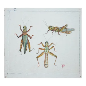Mid-20th Century "Study of Crickets" Green and Brown Abstract Watercolor Illustration of Crickets by Fred Darge