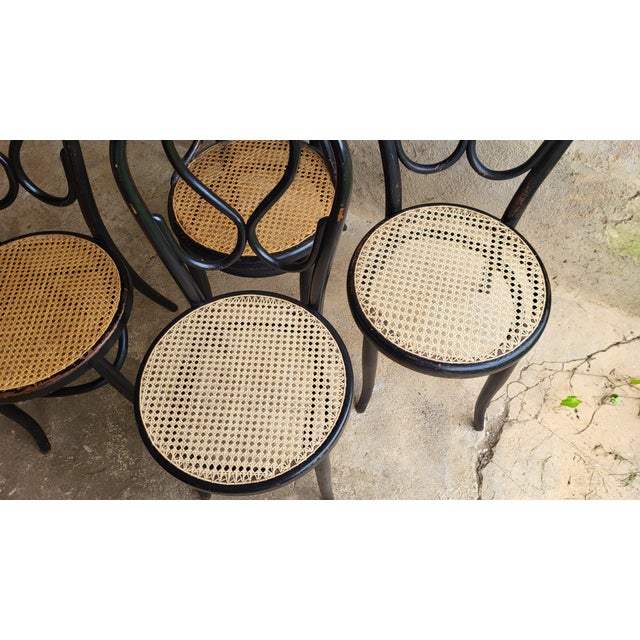 Art Nouveau Chairs in Bent Wood by Michael Thonet, 1890s, Set of 4 For Sale - Image 6 of 12