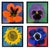 Jan Pienkowski, Pop Art Pansy, 1961, Silk-Screen, Framed For Sale - Image 7 of 8