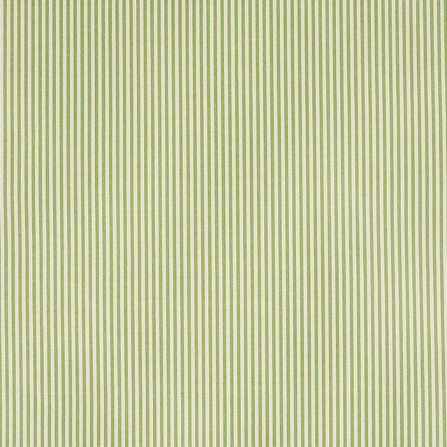 Sample - Schumacher Charee Silk Stripe Fabric in Green For Sale