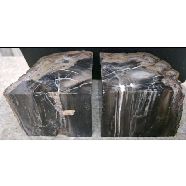 Mid-Century Modern XL Petrified Wood Bookends 6.5”h 5”w 4"d Natural Top Fossil Art Decor 19+ Lbs! For Sale - Image 3 of 11