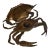 1960s Mid-Century Modern Blue Claw Crab For Sale