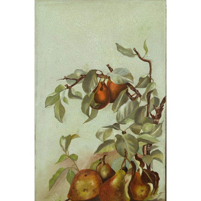 Pears Aplenty in Victorian Days 1890s Exceptionally well painted Pear example from earlier days and simpler times....