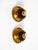 Gilt Water Lily Wall Lamps from Banci Firenze, Italy, 1960s, Set of 2 For Sale - Image 9 of 15