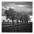 Paul Cooklin, Walsham Le Willows, Suffolk, 2009, Edition of 50 For Sale