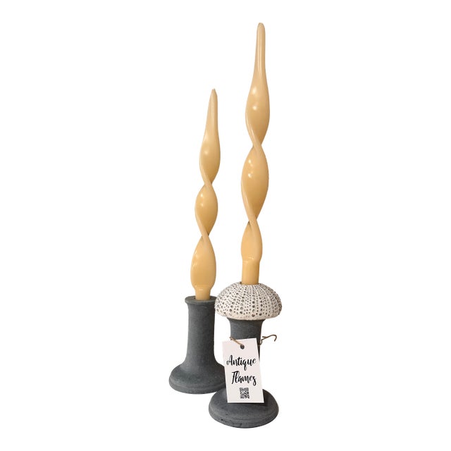 Celestial Meets the Sea Concrete Candleholders For Sale
