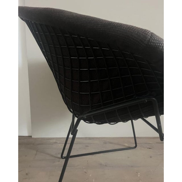 1970s Diamond Chair by Harry Bertoia for Knoll, 1976 For Sale - Image 5 of 14