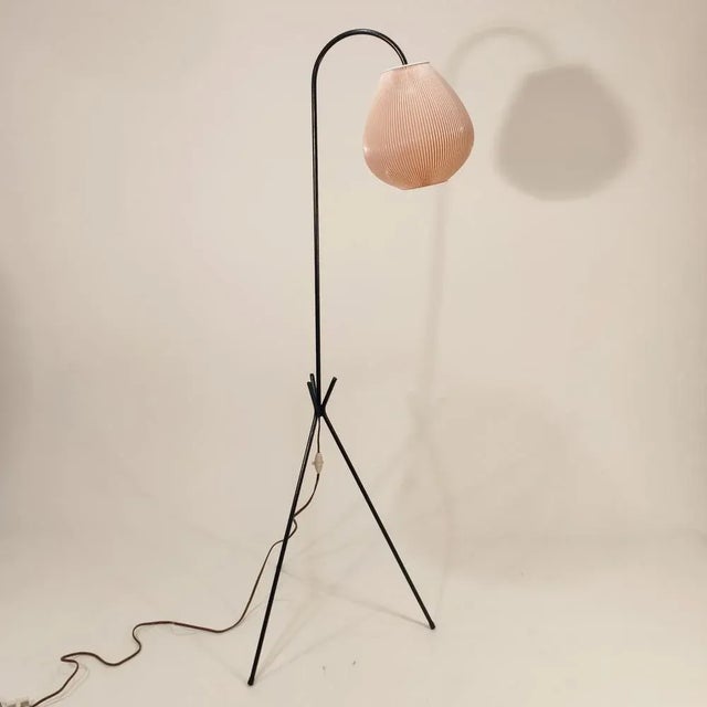 French Floor Lamp by Jean Rispal for Rispal, 1955 For Sale - Image 11 of 11