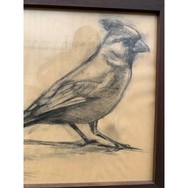 Vintage Graphite on Paper Sketch of a Cardinal For Sale - Image 4 of 7