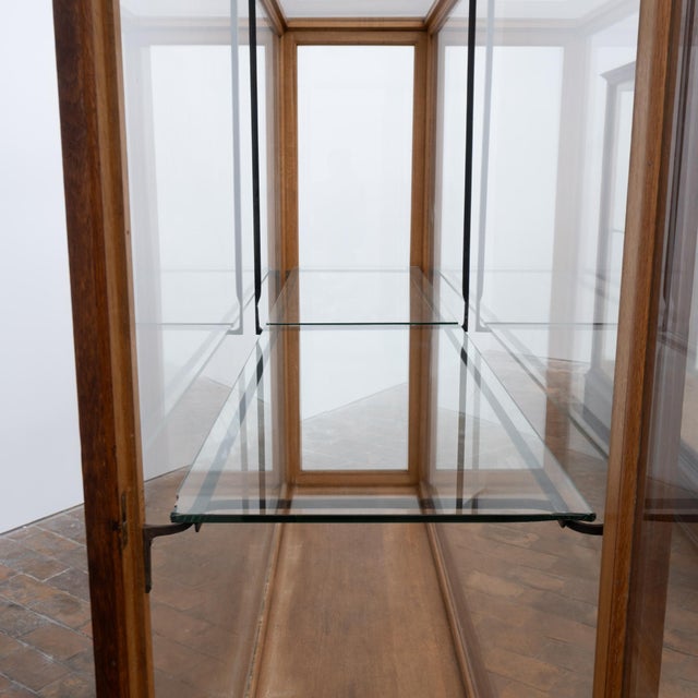 Antique Oak Museum Display Cases, 1900 For Sale - Image 4 of 13