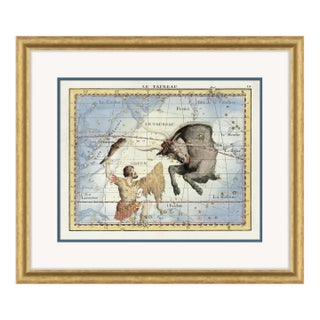Taurus Framed Art Print by David Phoenix For Sale